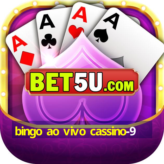 bingo ao vivo cassino